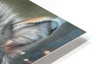 Wolf Brothers HD Metal print