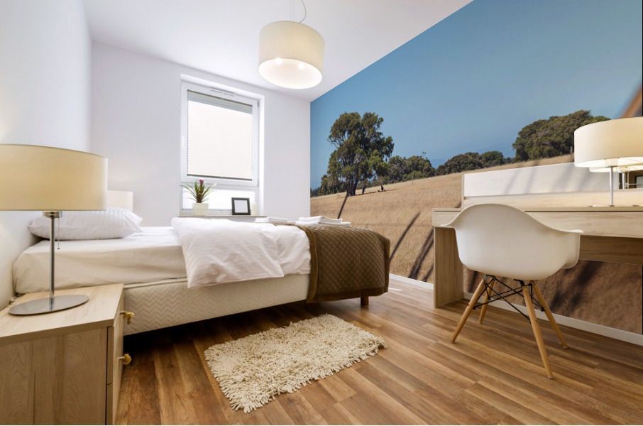 Resting Roos Mural print