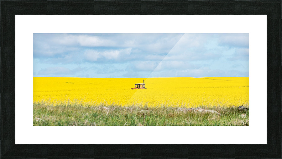  Fine Art print