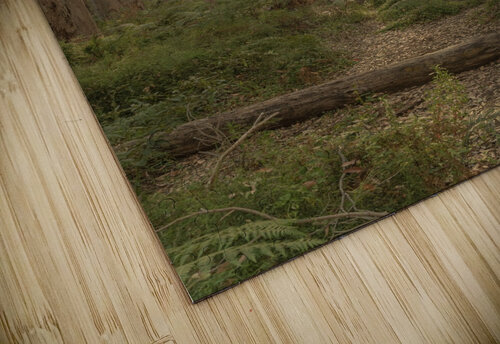 Boranup Lookout Contah Photography puzzle