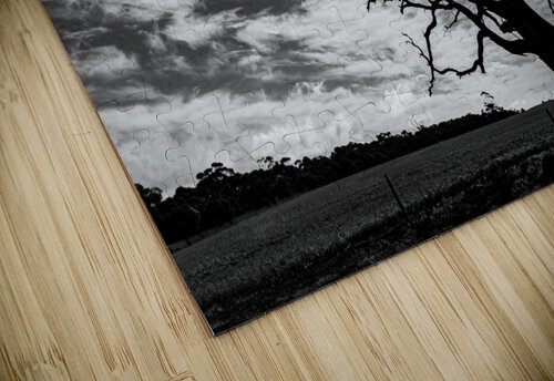 Lone Tree Contah Photography puzzle