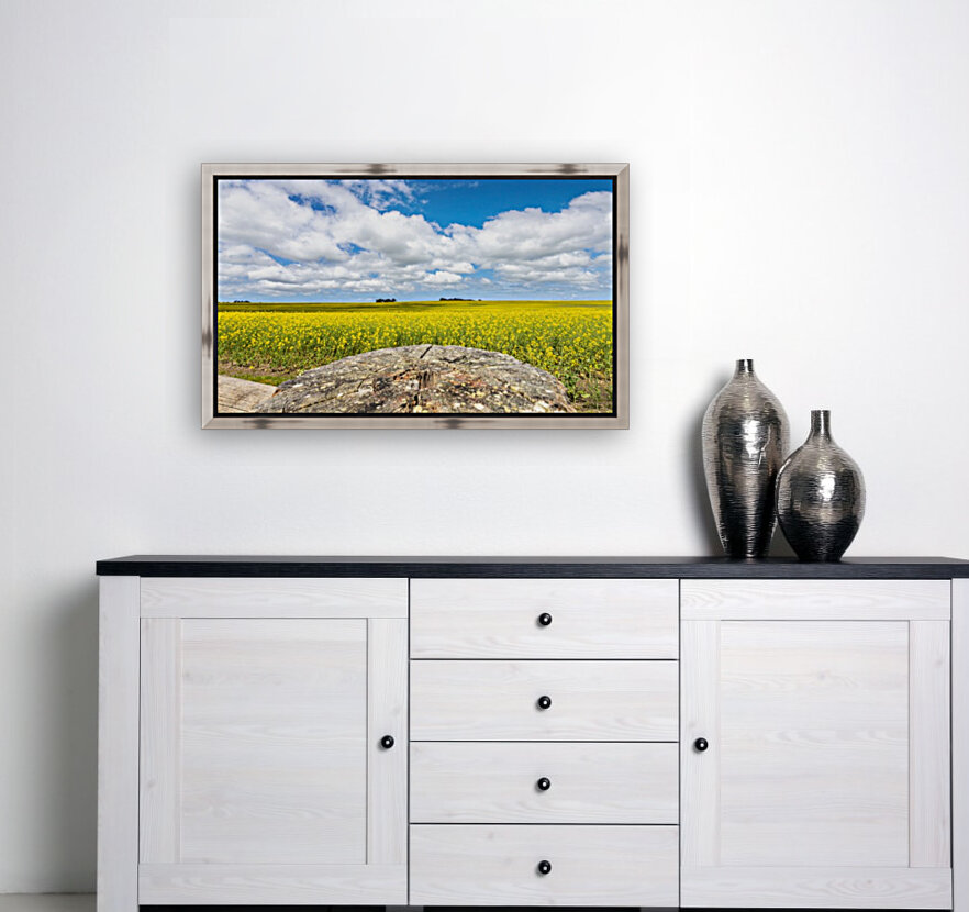 Canola Fields Reproduction