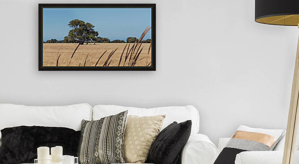 Resting Roos Reproduction