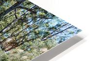 Road To HD Metal print