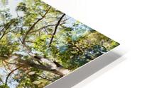 Up There HD Metal print
