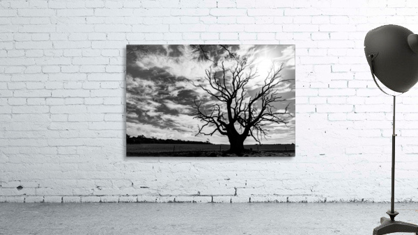 Lone Tree Wall Preview