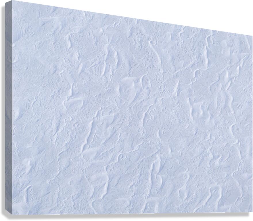 DJI 20251130032520 0120 D Canvas Print