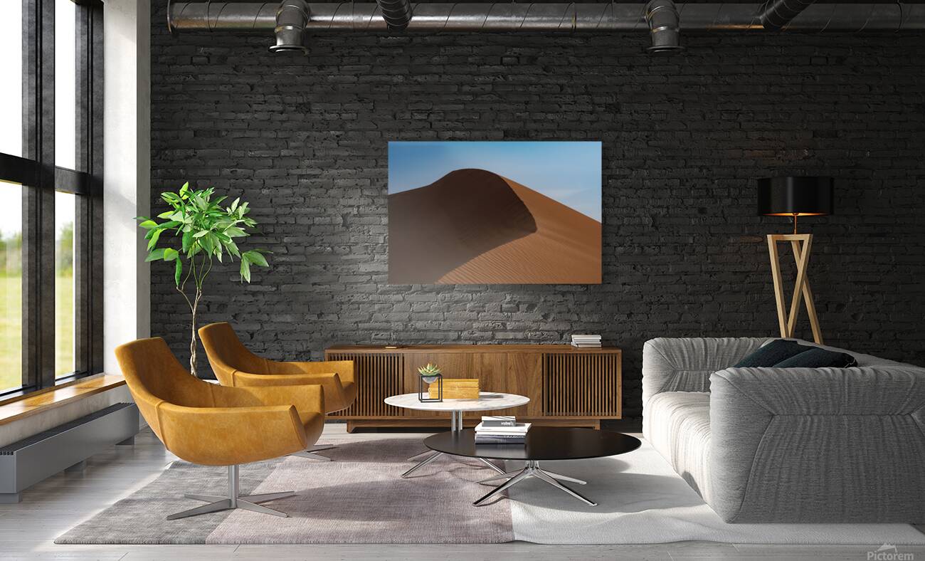The Sand dune Reproduction