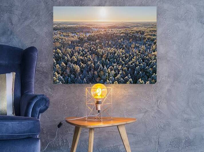 Winter wonderland aerial view of a forest by John Nilsson