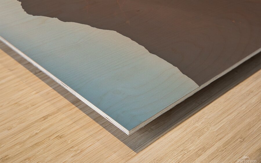 Death Valley USA. Man vs Sand dune Wood print