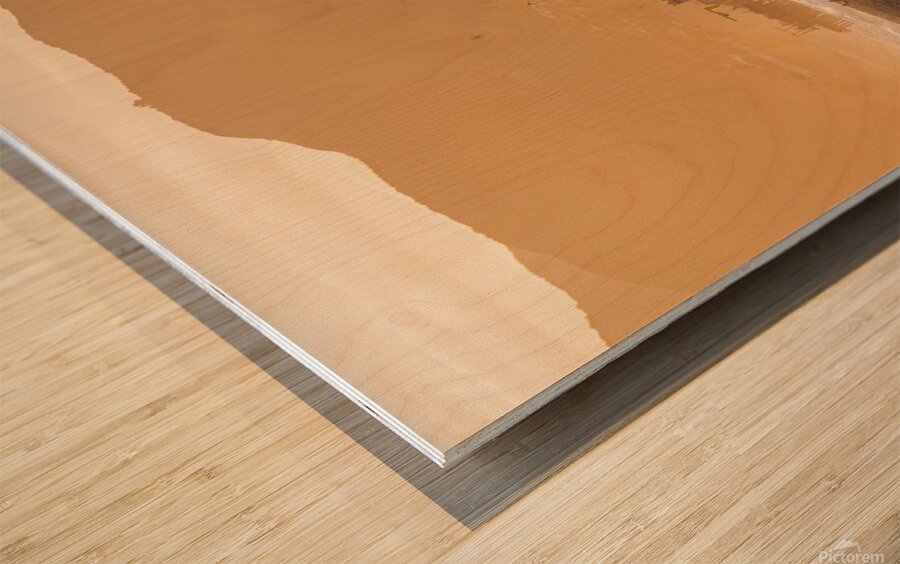 Santa Monica USA. A lifeguard tower at sunset Wood print