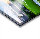 Japan-NP - Okayama Korkuen Garden 30 Acrylic print