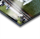 China-FG - Nansha Phoenix Lake Park  12 Acrylic print