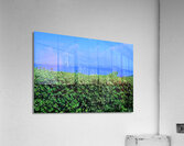 Japan-NP - Awaji Hanasajiki Bridge 02 Acrylic Print