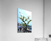 HK-VL - The Village and Landscape Acrylic Print