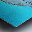 Japan-NP - The Signature Show way to the Bridge Metal print