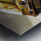 FD-Fried Clam Metal print