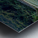 HK-FV-The Seaweed along the seaside at Cheung Chau 02 Metal print