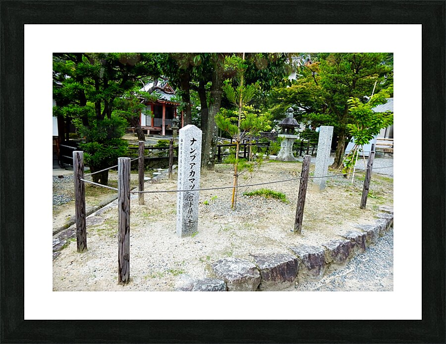 Japan-AB - Special Sign on the way Picture Frame print