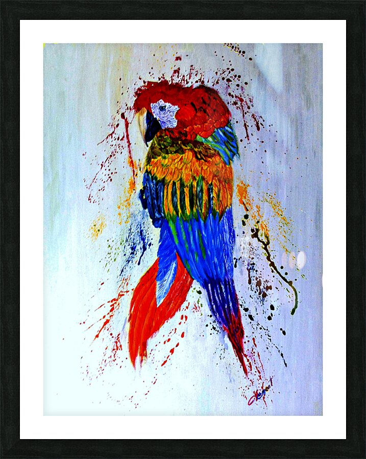 O-Red Head Parrot Picture Frame print