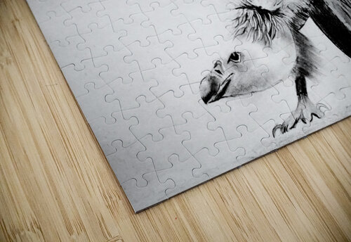 P- Wild Hawk Clement Tsang puzzle