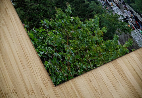 HK Island-RE - The Largest Famous Buddha 02 Clement Tsang puzzle