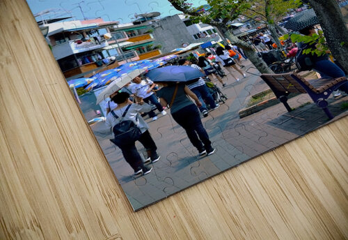 HK-VL - The Village and Landscape Clement Tsang puzzle