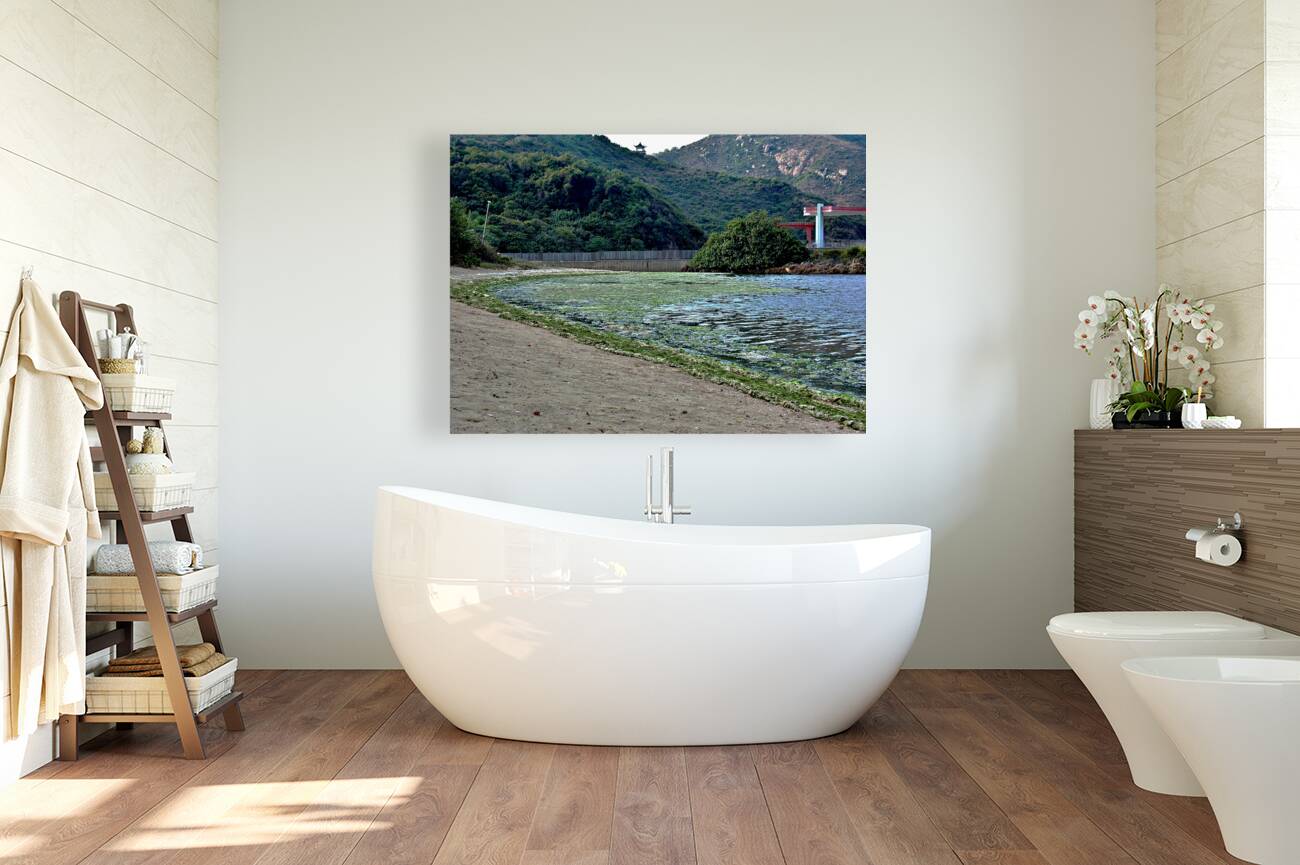 HK-FV-The Seaweed along the seaside at Cheung Chau 02 Reproduction