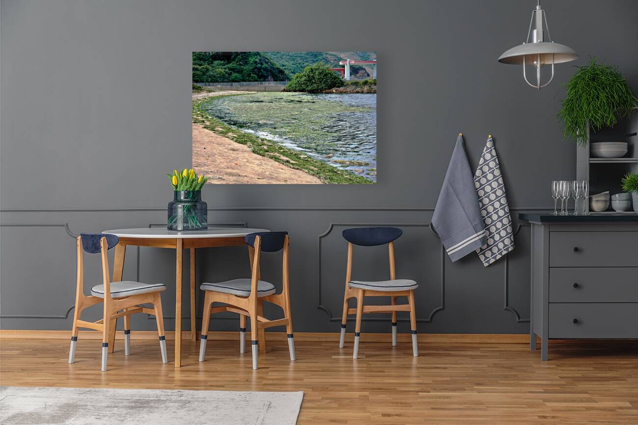 HK-FV-The Seaweed along the seaside at Cheung Chau 01 Reproduction