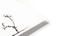 W-Landscape HD Metal print