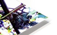 FD-Grapes Vineyard HD Metal print
