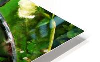 ZW-Green Beans HD Metal print