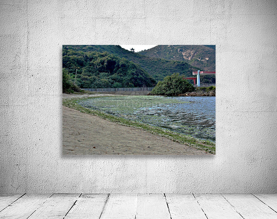 HK-FV-The Seaweed along the seaside at Cheung Chau 02 Wall Preview