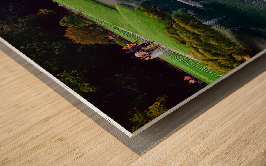 Japan-NP - Okayama Korkuen Garden 26 Wood print