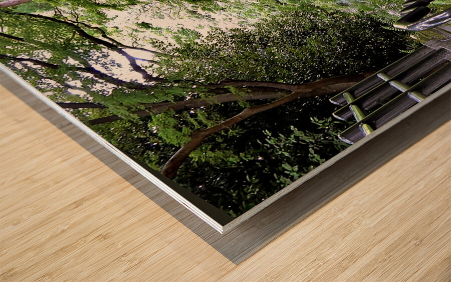 Japan-TA - Stairs to the Temple Wood print