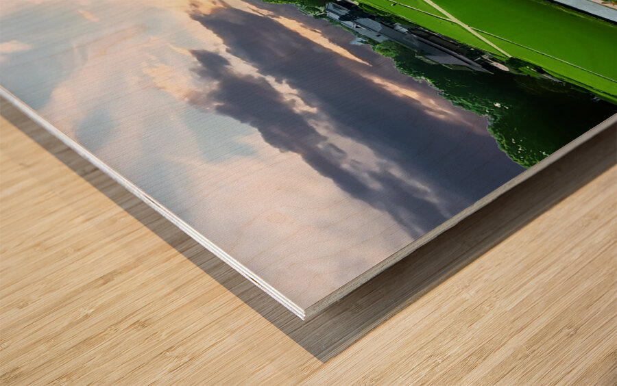 Japan-NP - Okayama Korkuen Garden 30 Wood print