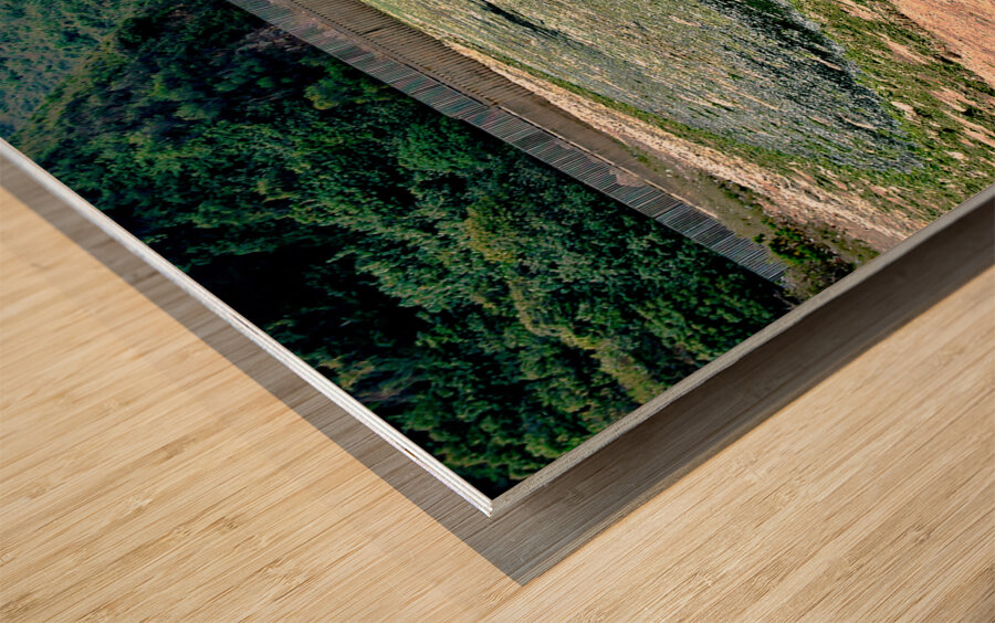 HK-FV-The Seaweed along the seaside at Cheung Chau 01 Wood print