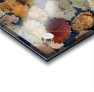 Drop on leaves Acrylic print