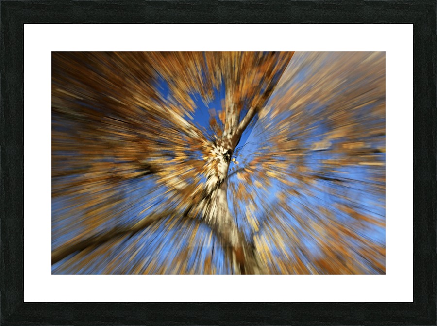 Fall Tree Burst Picture Frame print