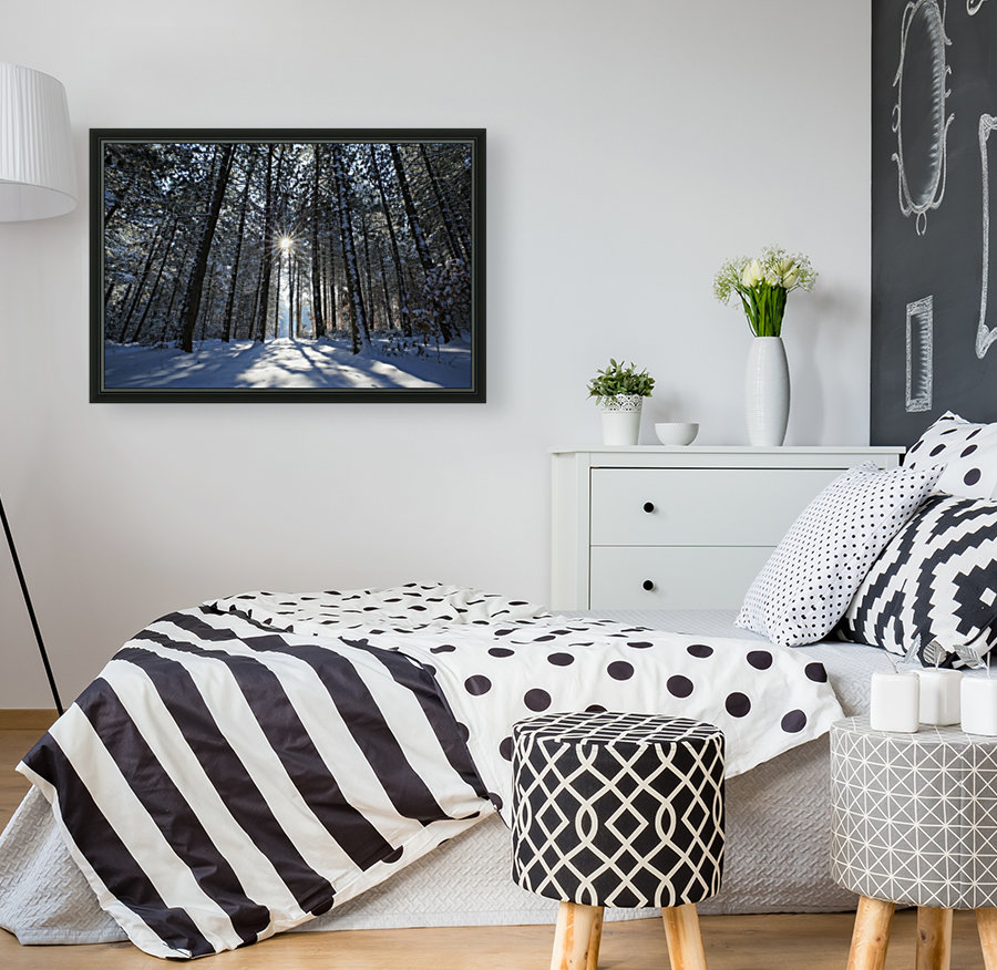 Wintry Pine Tree Arbor Reproduction
