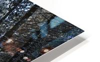 Wintry Pine Tree Arbor HD Metal print