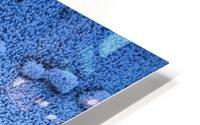 Frost HD Metal print