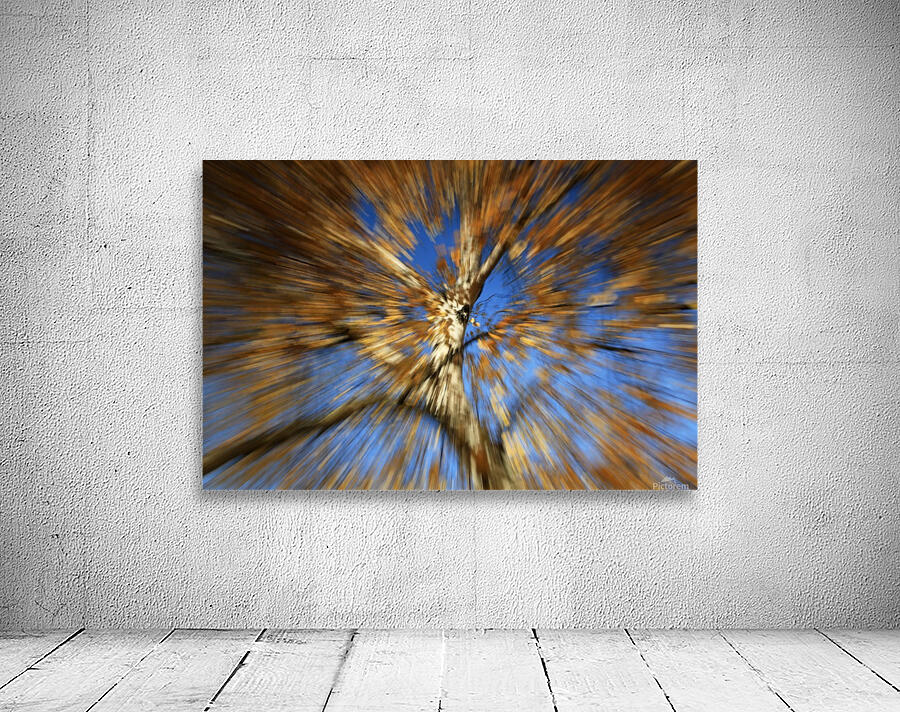 Fall Tree Burst Wall Preview