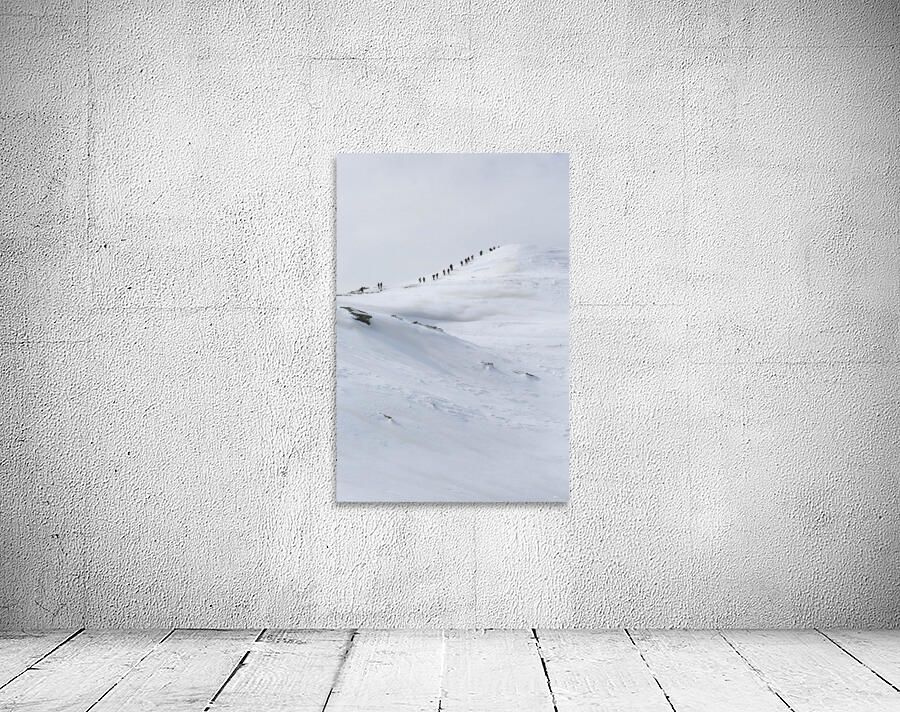 Ascent Wall Preview