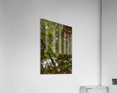 Untitled  2 Acrylic Print