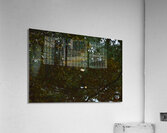Untitled  6 Acrylic Print