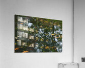 Untitled  1 Acrylic Print