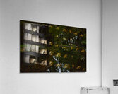 Untitled  3 Acrylic Print