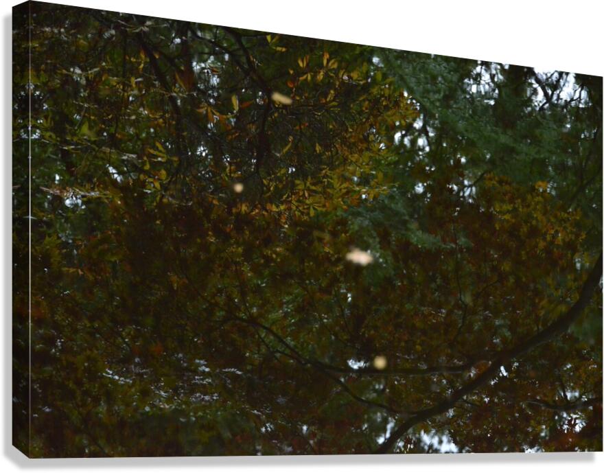 Untitled  6 Canvas Print