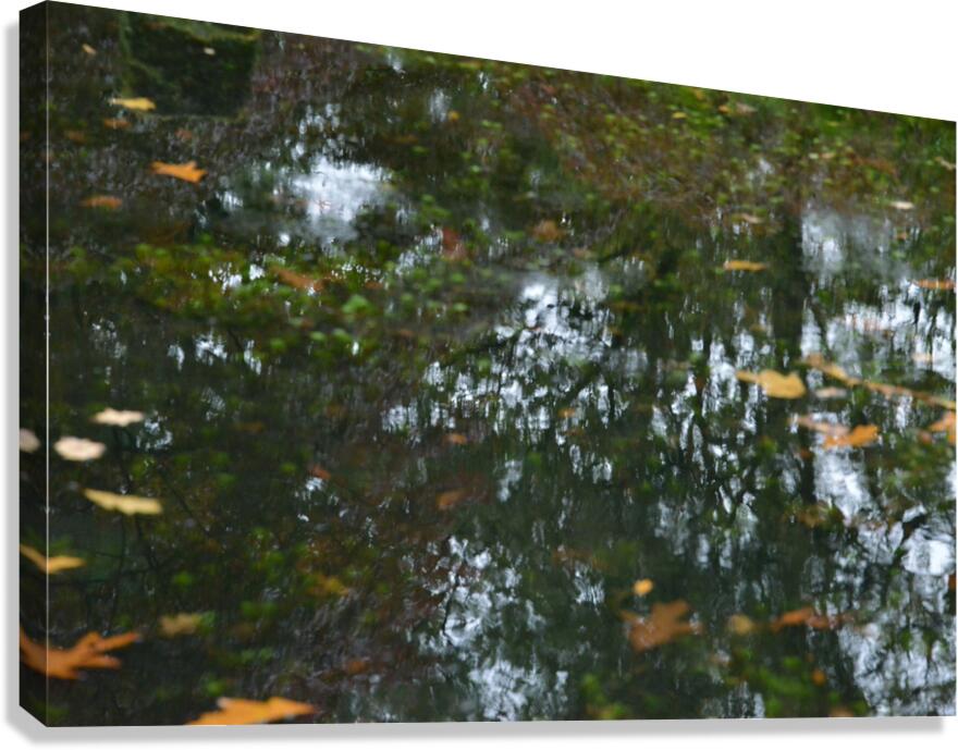 Untitled  1 Canvas Print